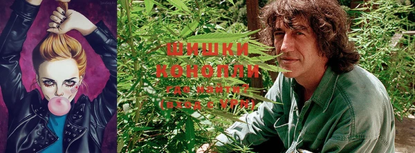 PSILOCYBIN Бородино