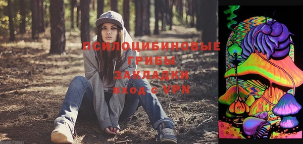 твердый Бугульма