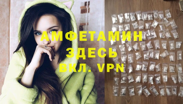 PSILOCYBIN Бородино