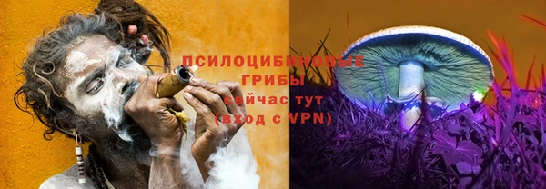 твердый Бугульма