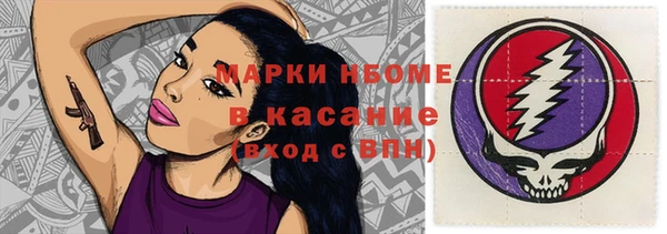 PSILOCYBIN Бородино